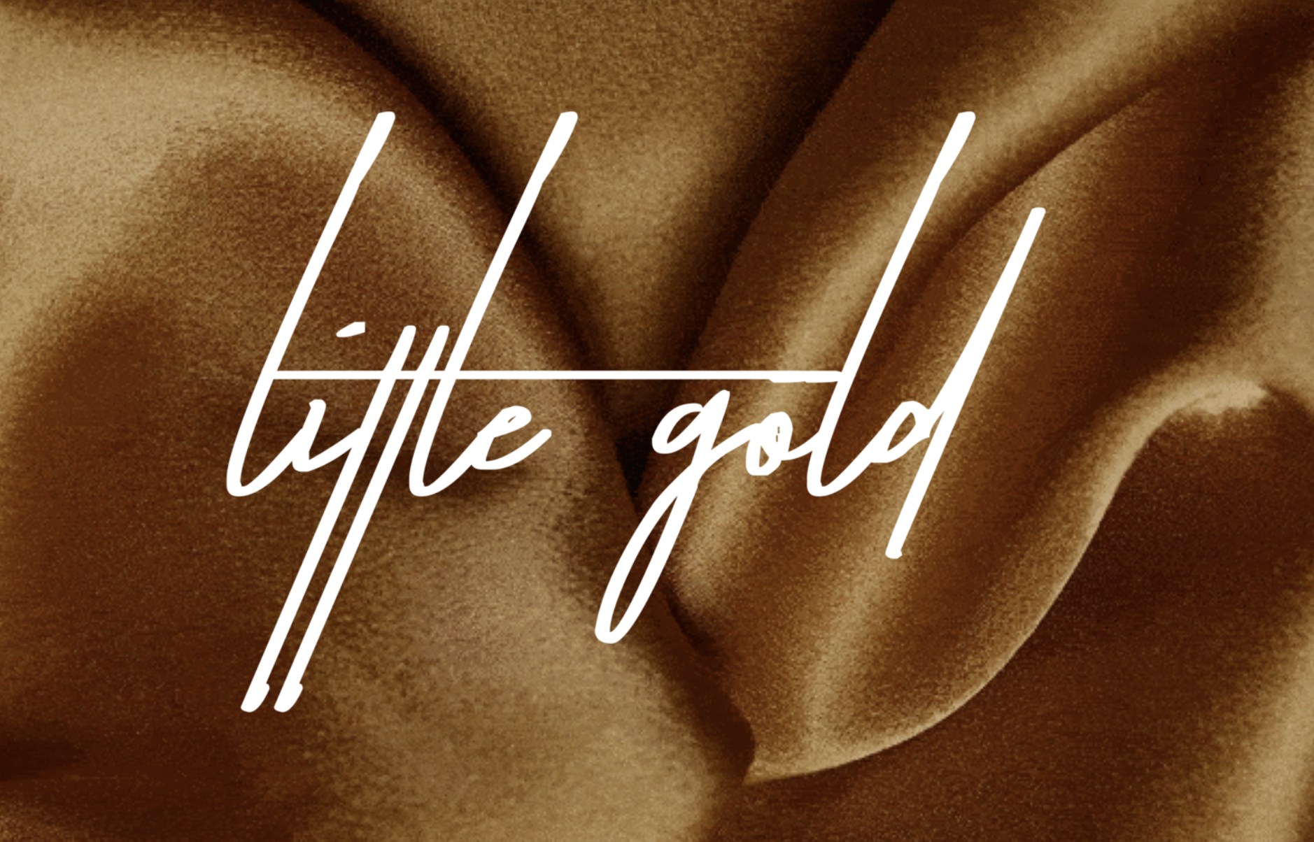 その他 LITTLE GOLD ver 0021831057_10.jpg
